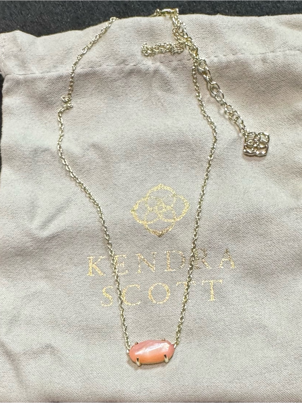 Kendra Scott Gold Chain Necklace with Abalone Pink Stone